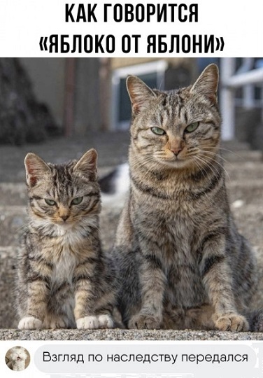 �� ������