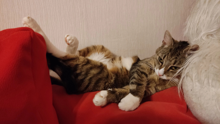 Что может быть соблазнительнее