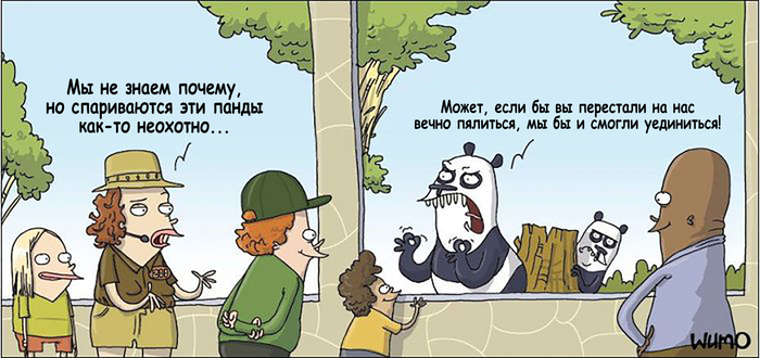 ������� ������ �����