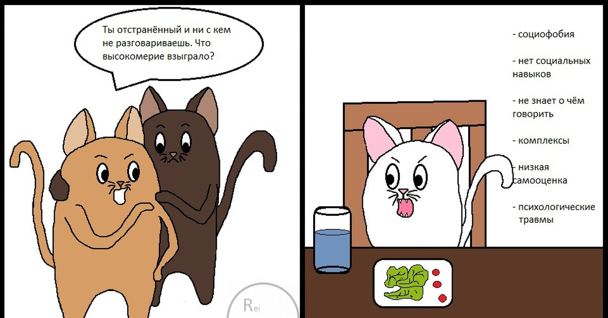 Котобусы #3 | Пикабу