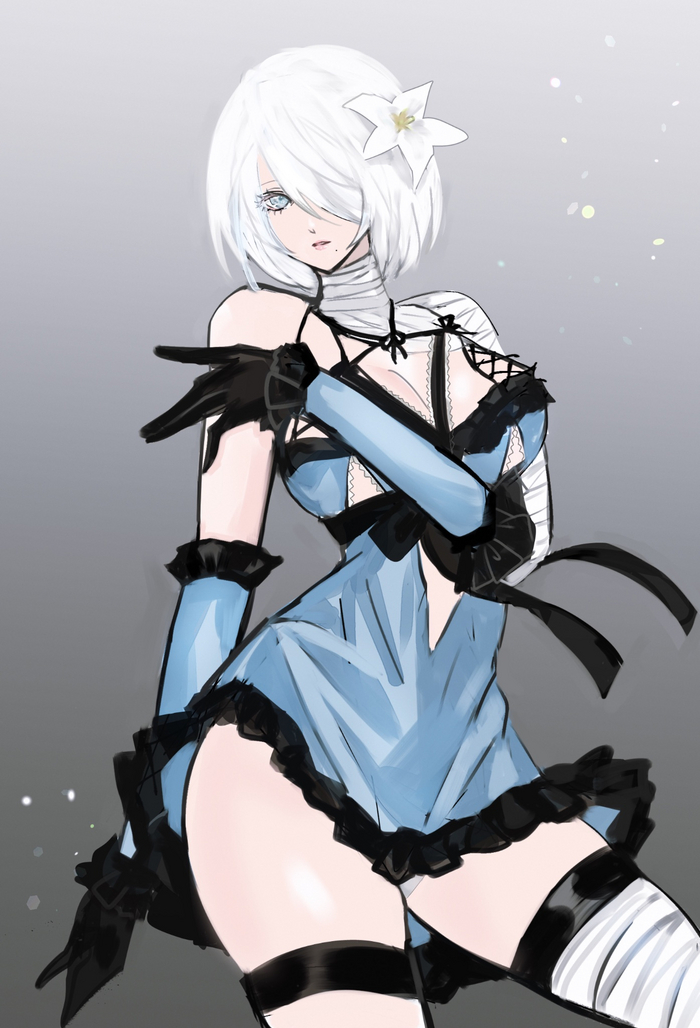 Кайнэ 2B