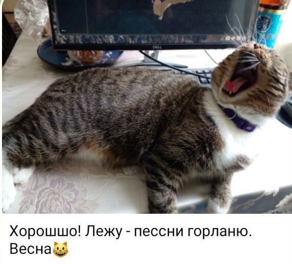 ...  , , 