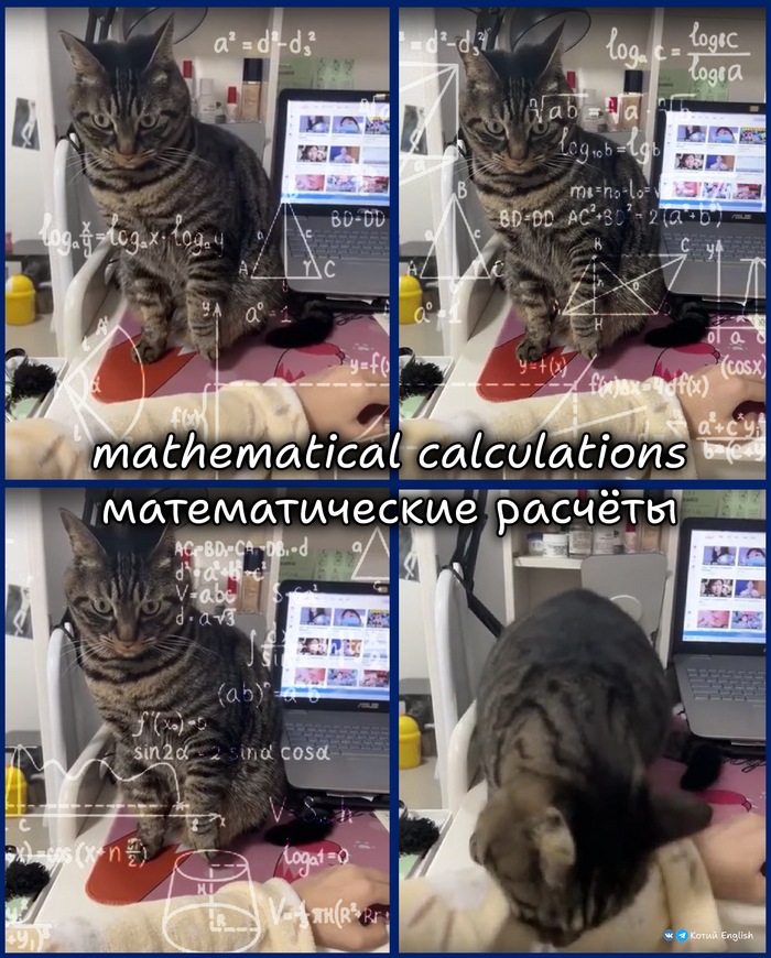 ����� �� ���� �������� ���������, ��������� �������, ��������� ����������, ����� ����