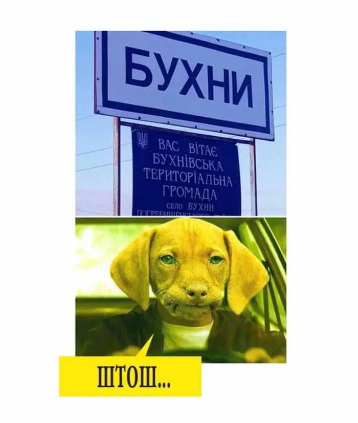 Даже и не думай | Пикабу