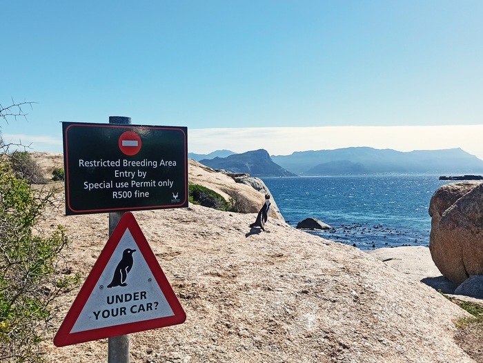 Я пришел сюда... | Пикабу