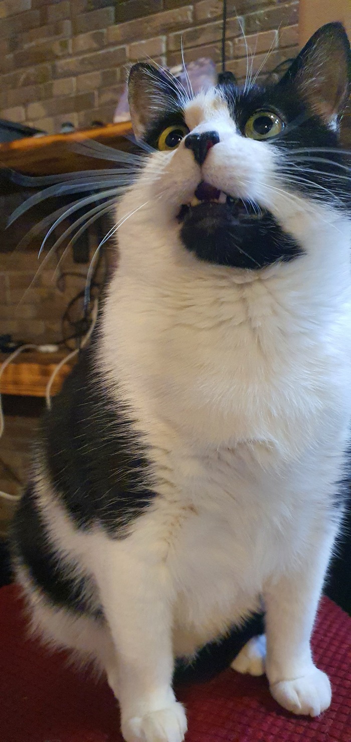       ? , ,  , 