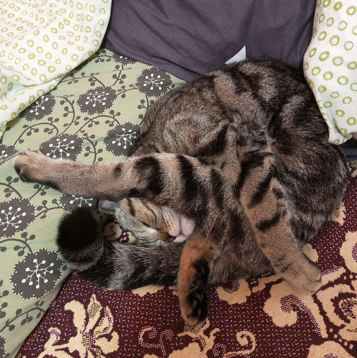 — Тебе так удобно?