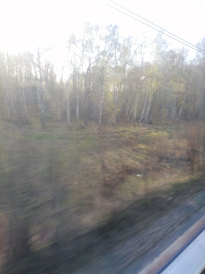 Что за Tiktok Вместо Пикабу?