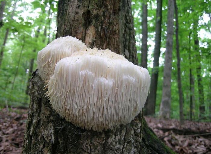 ��������� ���� �������� �������� �� ������� �����������