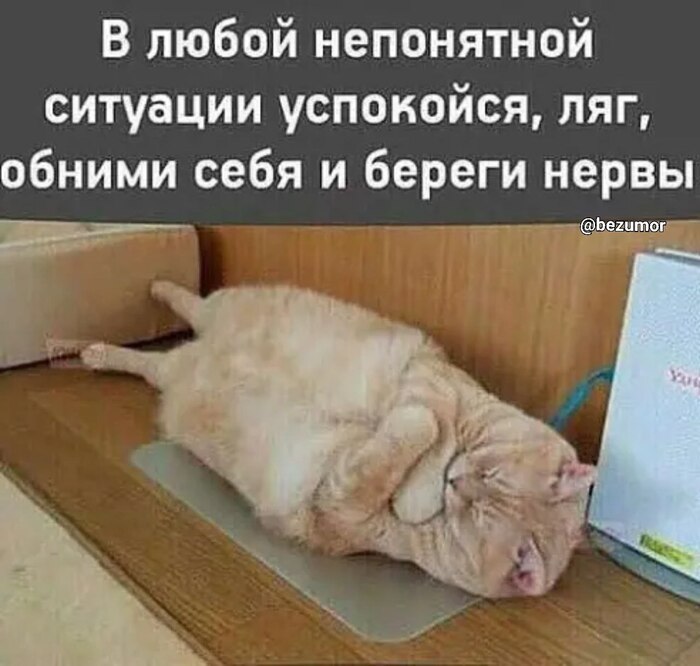  ,      , ,   ,    , 
