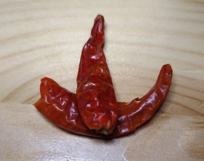 Здравствуйте перцеводы. Есть-ли у кого-то опыт выращивания перца Чили "птичий глаз" на подоконнике или в открытом грунте?