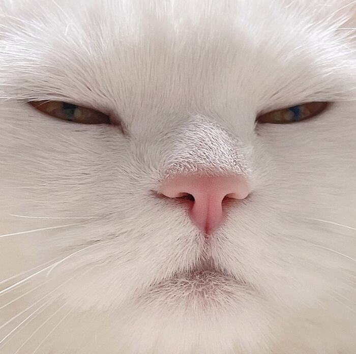 ��������! ��� ��������!