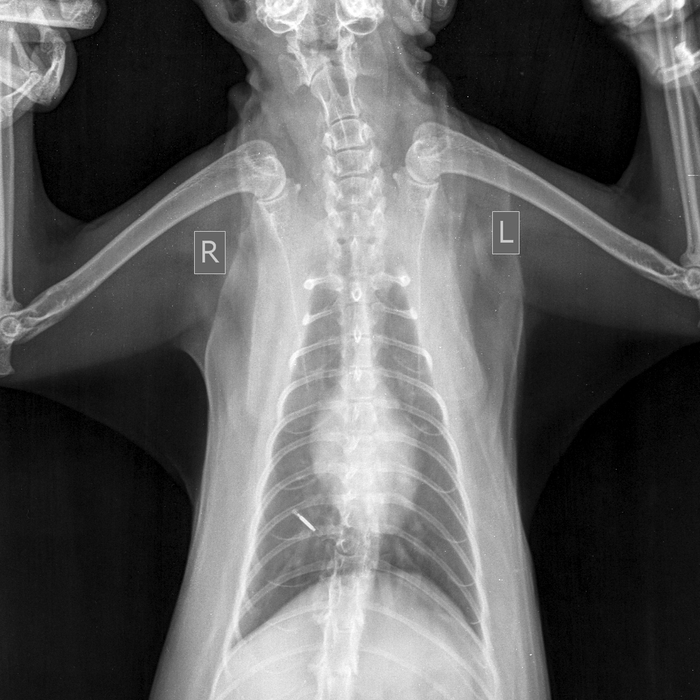 ����� ��� ������� ����� ���� ��� ������� ��������������� ������� �����-������ ����-������ )))