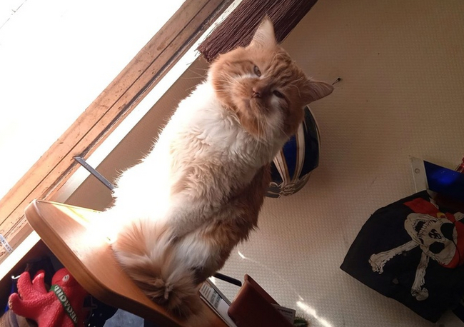 ������ ��������� �������� �� ���� ��� �� �����?