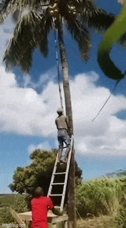   , , , 