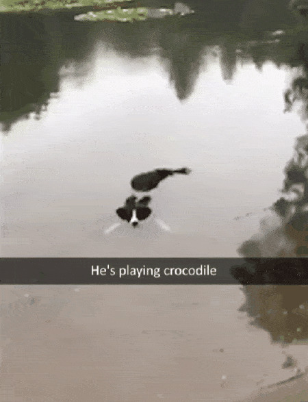      , , , 