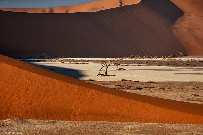 Скрытый влей