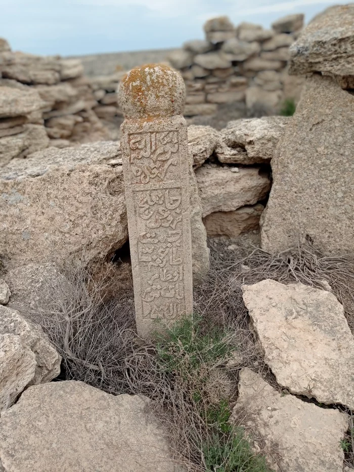 Поездка к остаткам Аральского моря Путешествия, Фотография, Узбекистан, Каракалпакстан, Аральское море, Пустыня, Море, Видео, Вертикальное видео, Длиннопост