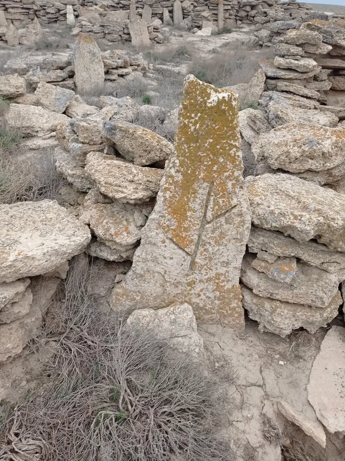 Поездка к остаткам Аральского моря Путешествия, Фотография, Узбекистан, Каракалпакстан, Аральское море, Пустыня, Море, Видео, Вертикальное видео, Длиннопост