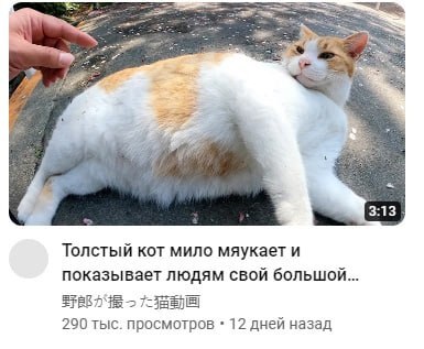 ...���� ������� �������