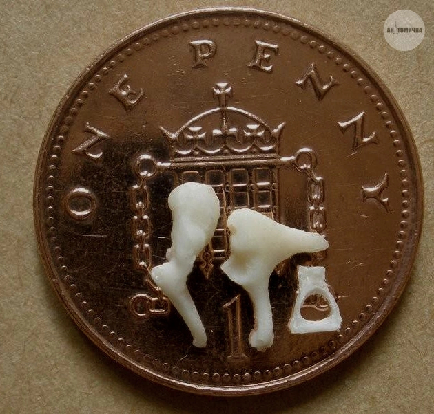 ��������� �����������