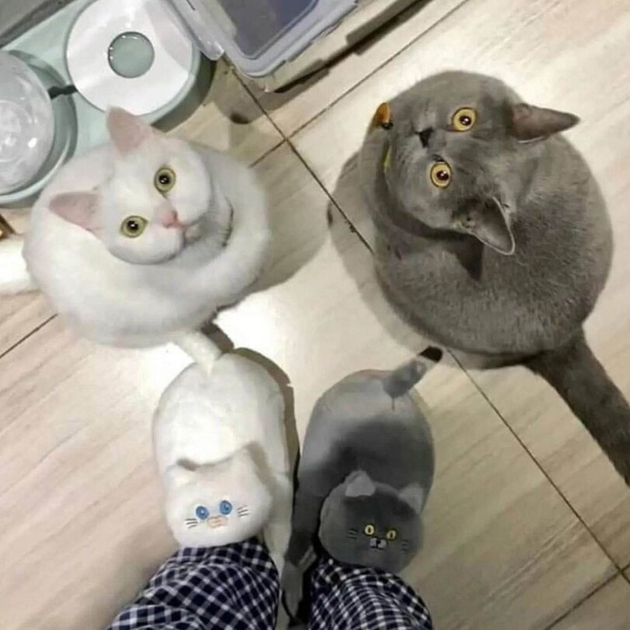     ? ,  , , 