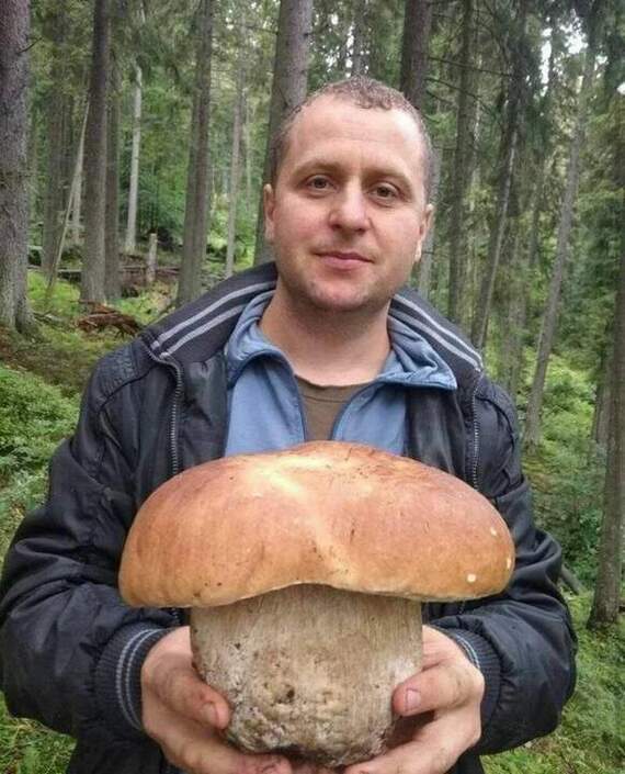 Доктор, у меня на ладони грибок! | Пикабу