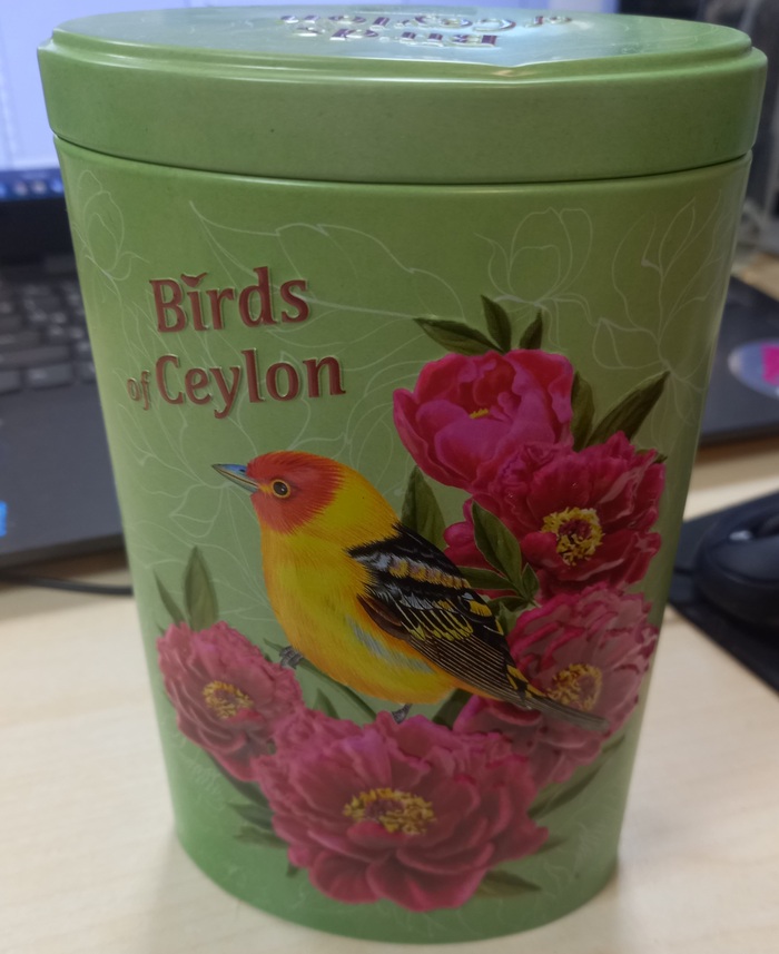 Лосино-Петровский — Санкт-Петербург. Цвет настроения зелёный | Пикабу