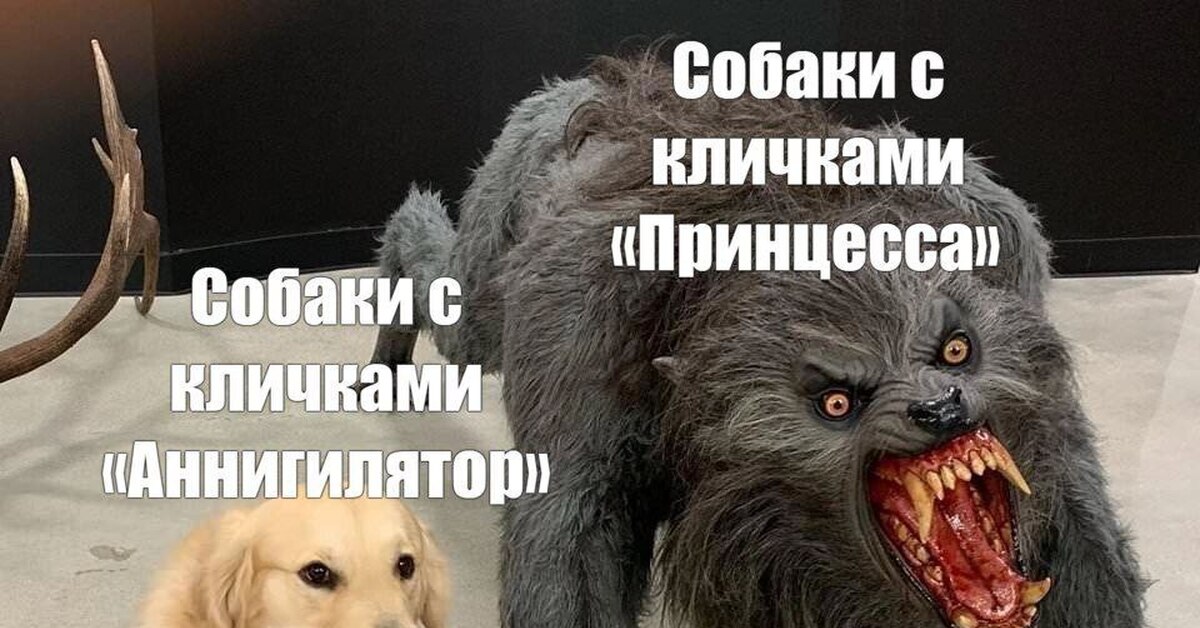 Она не укусит | Пикабу