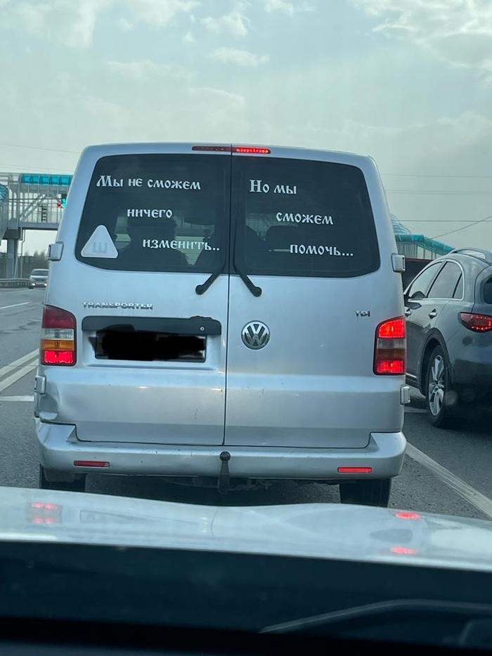 Две женщины орут на кота