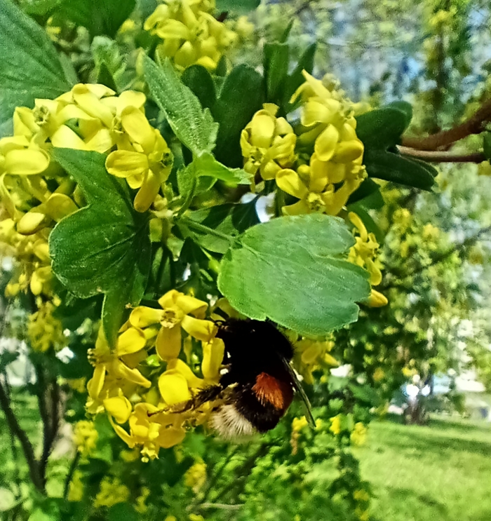  , , ,  , 