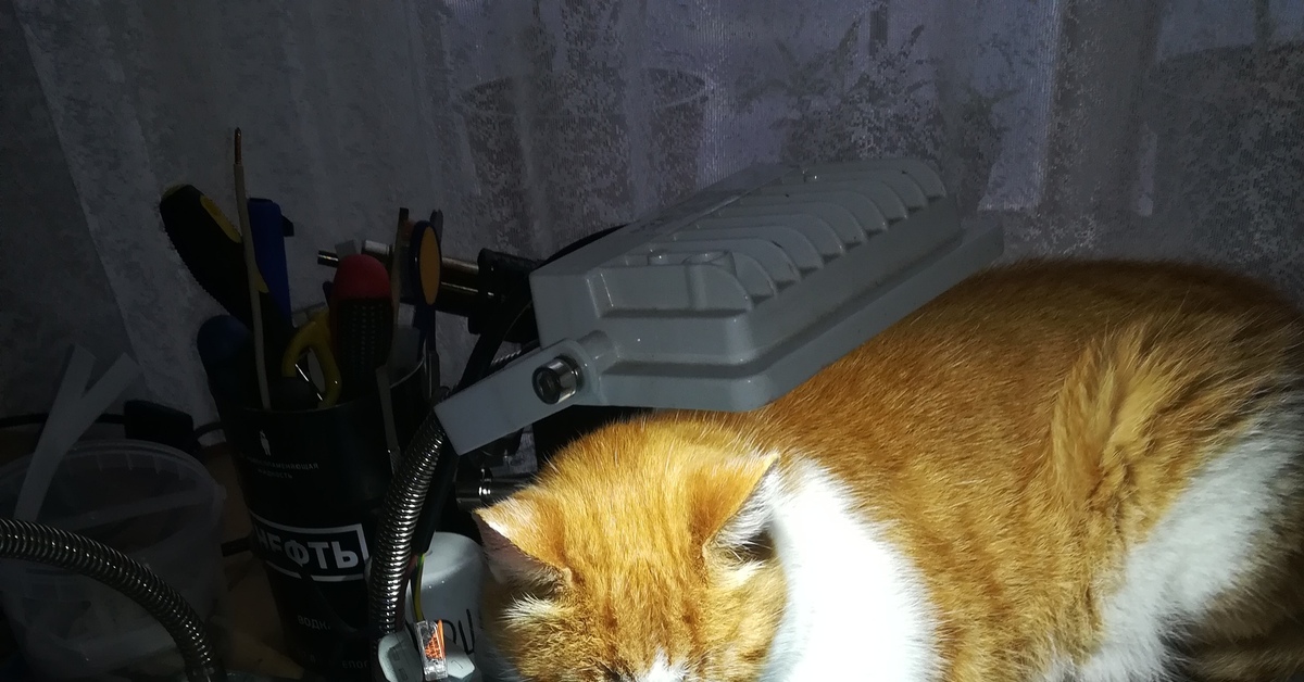 Радиомонтажник | Пикабу