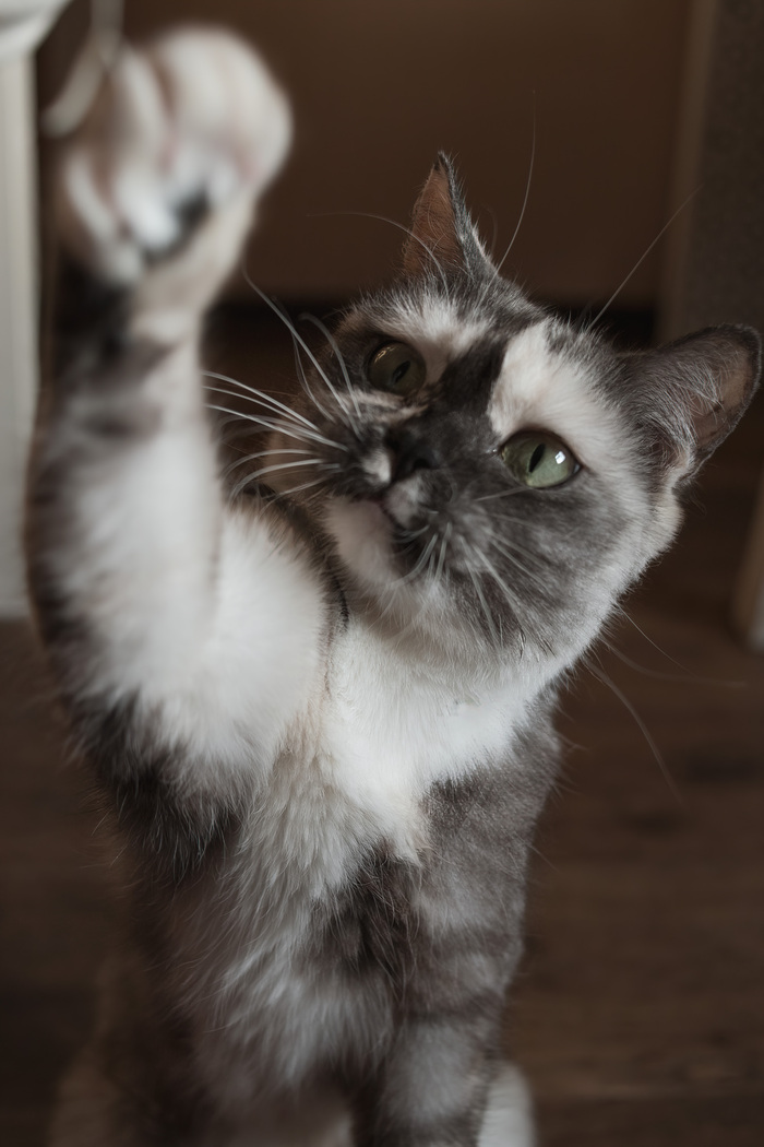 ���� �����������