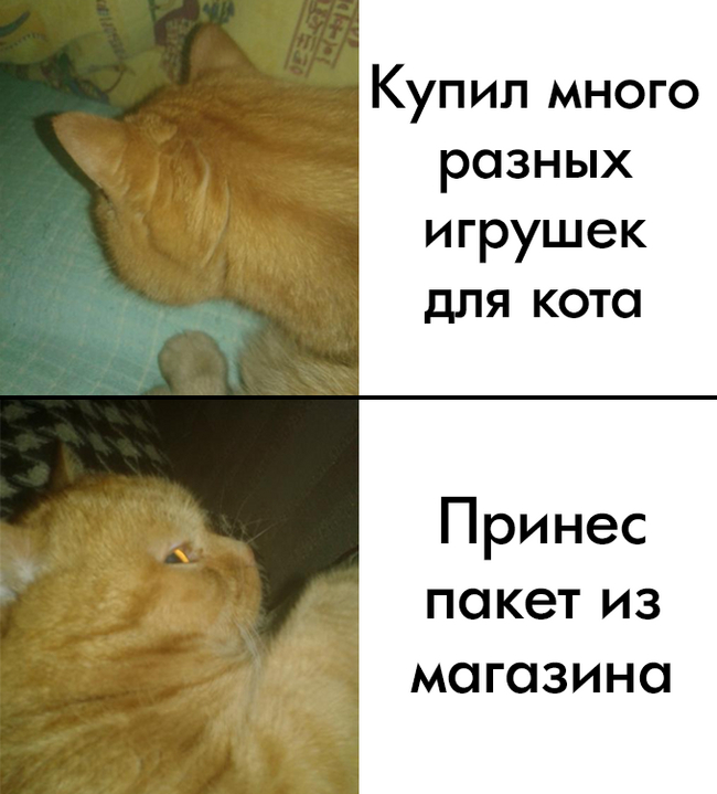 ����� - ������ �������?