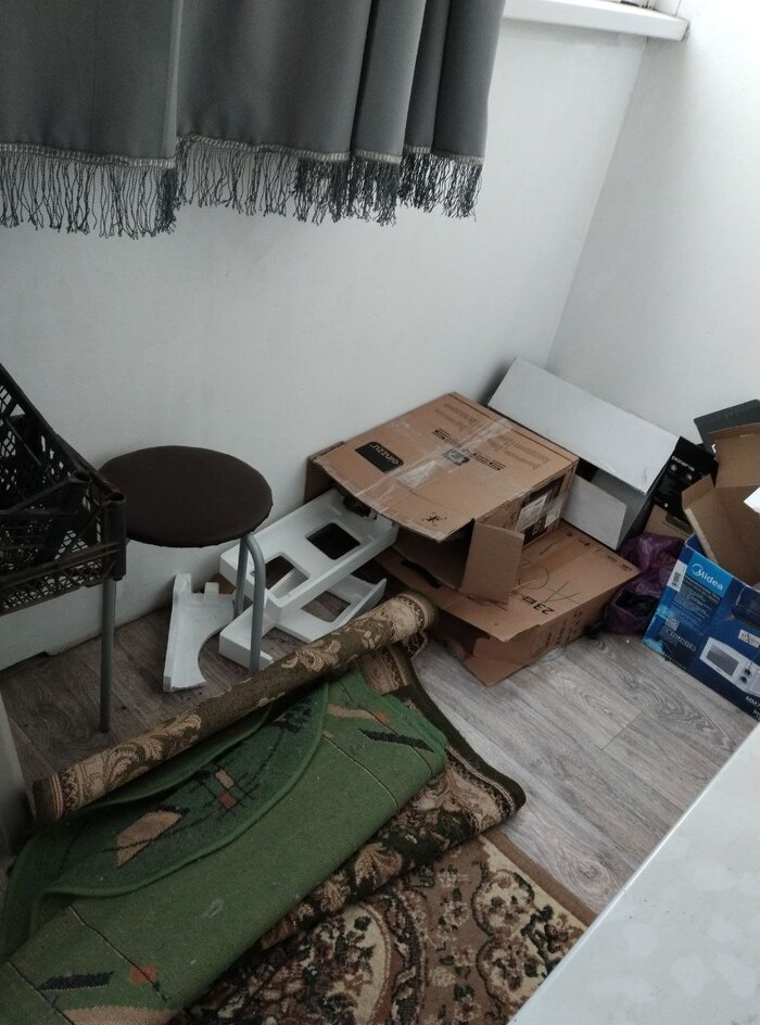 Квест, найди кота:) | Пикабу