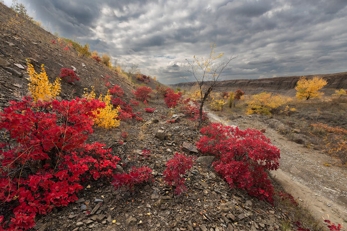 Дорога в карьер