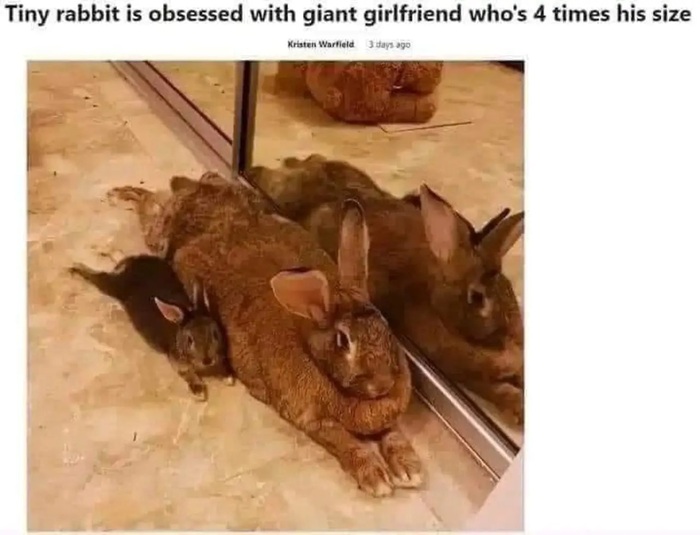 ����� ��� ������