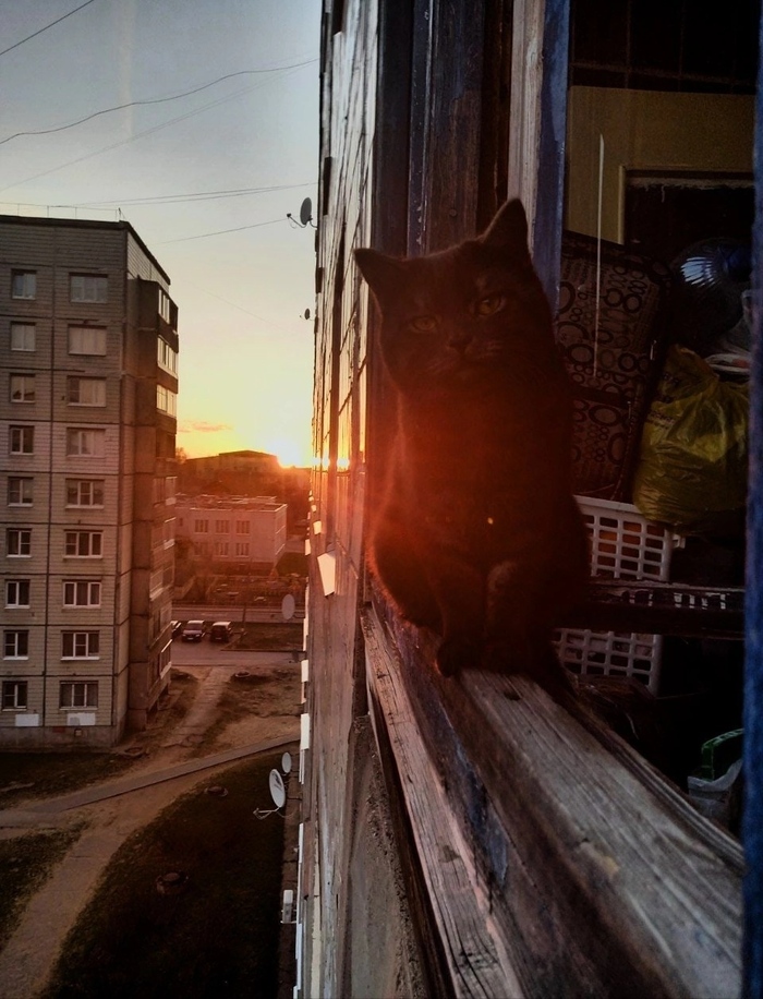 �������� ����