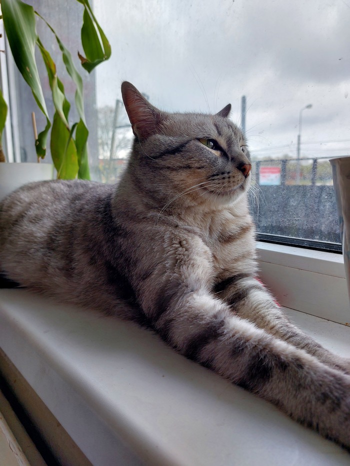 Какова красота