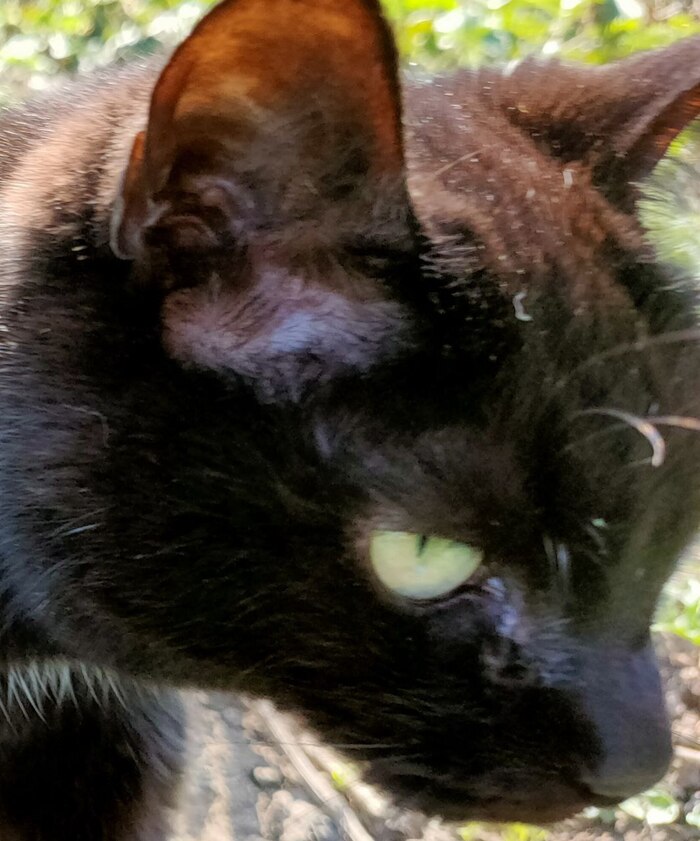 ����� �� ���� ������� ����