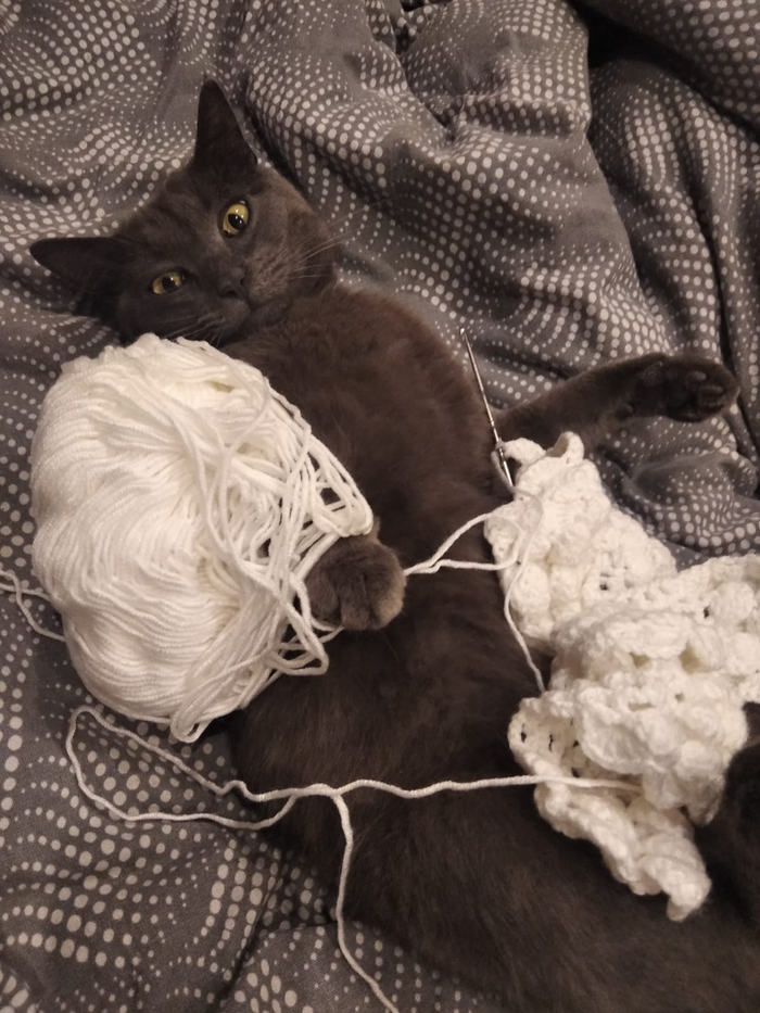     ,  , , , , ,  , 