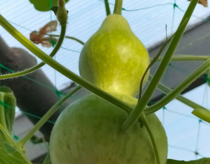        ,  , , , , , , , , , 