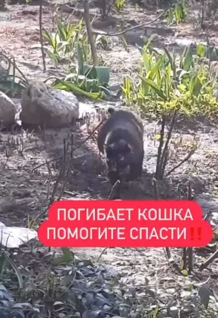 !                           !!!