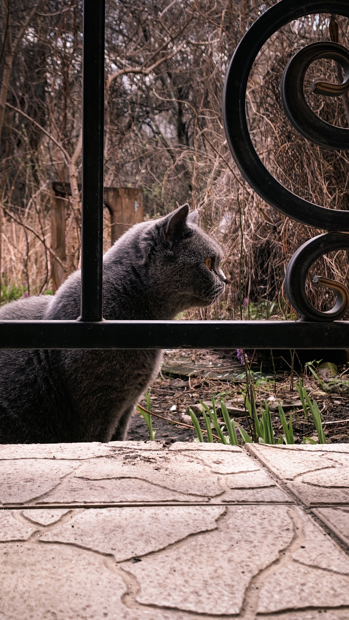 ������� �������