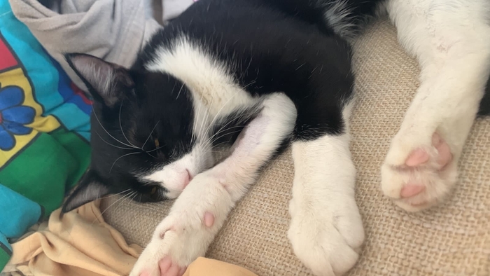 ����� �� ���� ���������� - ��� ������������ ������� ���� � ����� ����