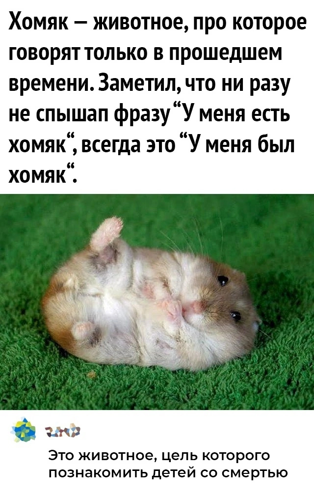 Истина | Пикабу