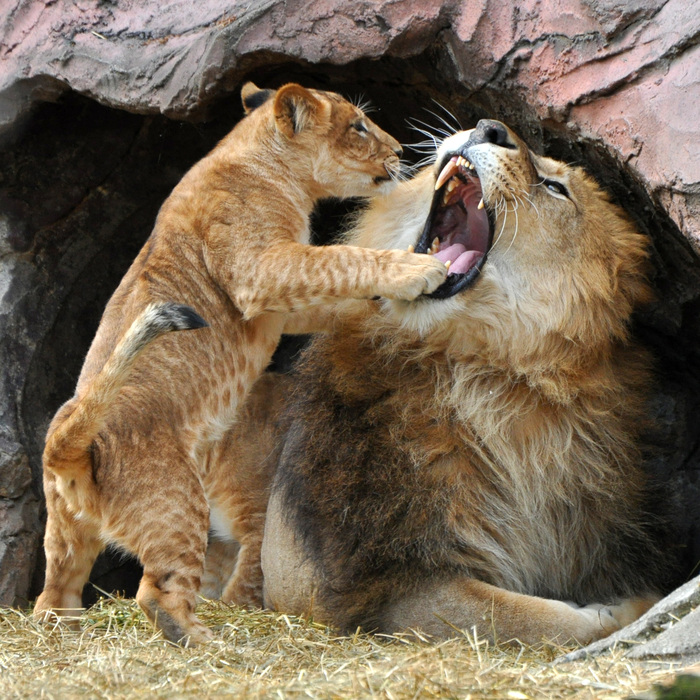 У стоматолога :3