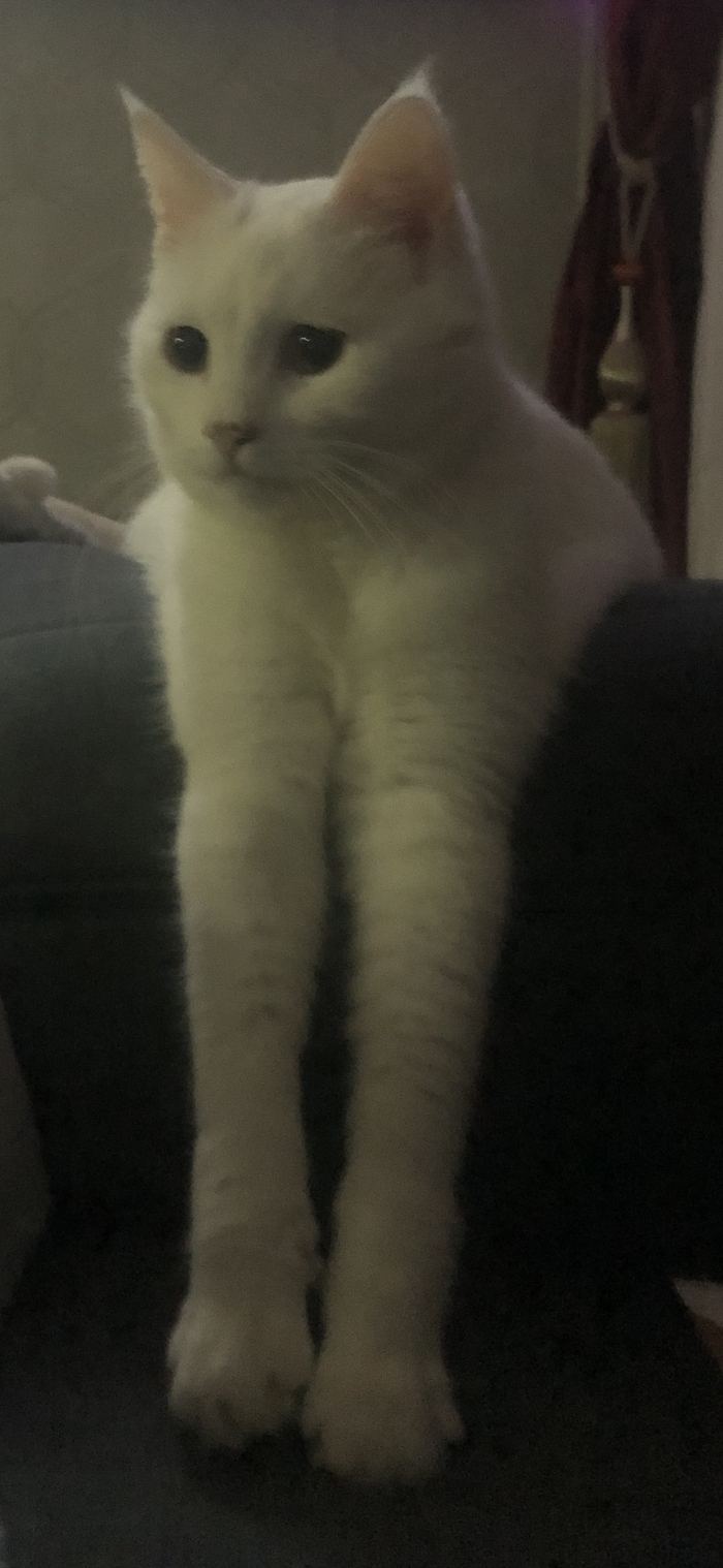 � ������ ���