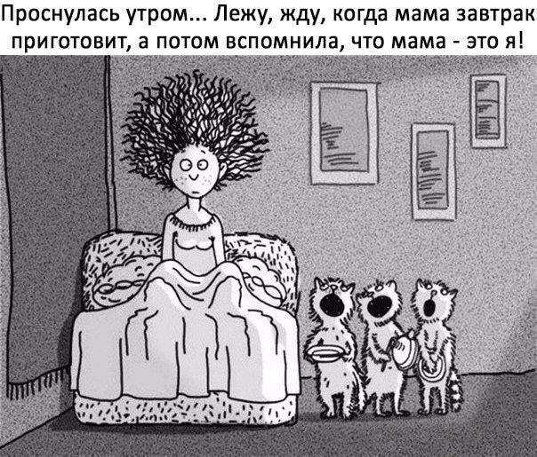 Проснулась утром... | Пикабу