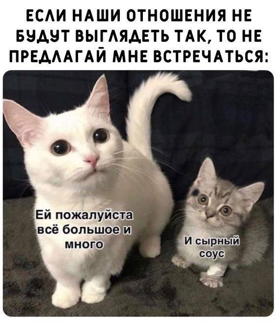    , , , , , 